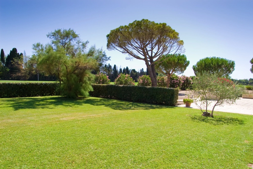 grand jardin espace vert